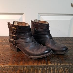 Freebird by Steven Soar